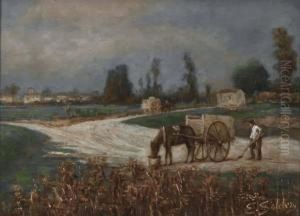 Paesaggio