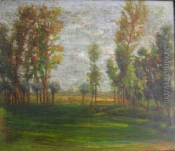 Scorcio Di Campagna Con Alberi - view 1