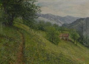 Paesaggio Montano Paesaggio Montano