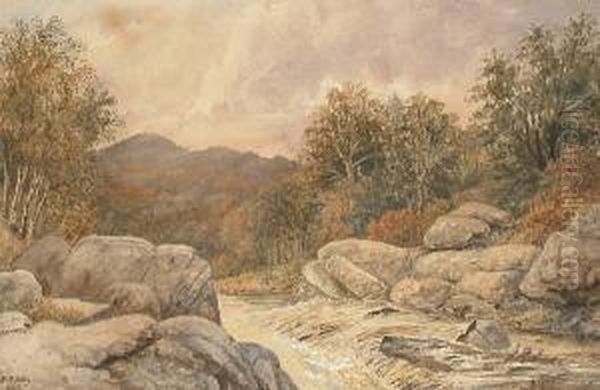 River Landscapes - view 1