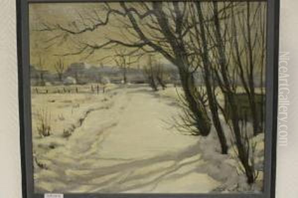 Bomen Aan Winterse Sloot - view 1