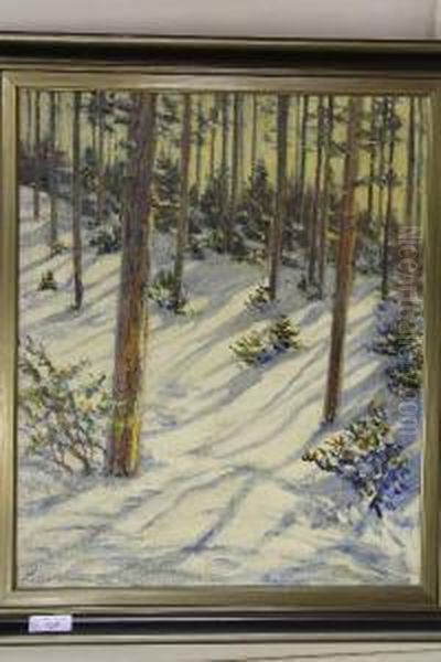 Winters Naaldbos - view 1