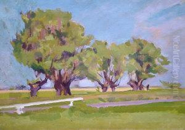 Pollard Willows - view 1