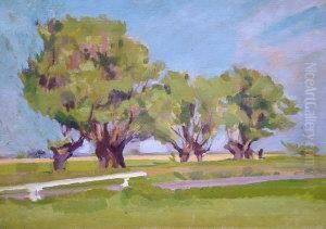 Pollard Willows by Gilbert Bernard Solomon