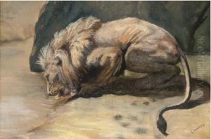 A Lion Drinking