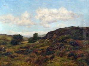Sheep In Moorland Landscape by Richard Gay Somerset