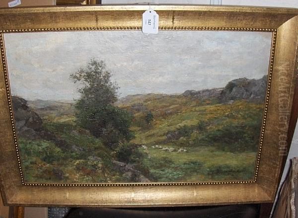 Sheep On Dartmoor - view 1