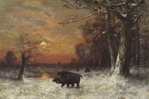 Abendstimmung Uber Winterlandschaft Mit Einer Rotte Sauen