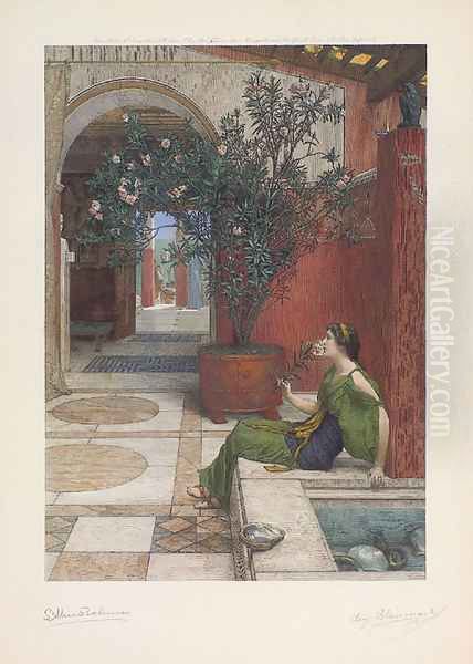 The Oleander - view 1