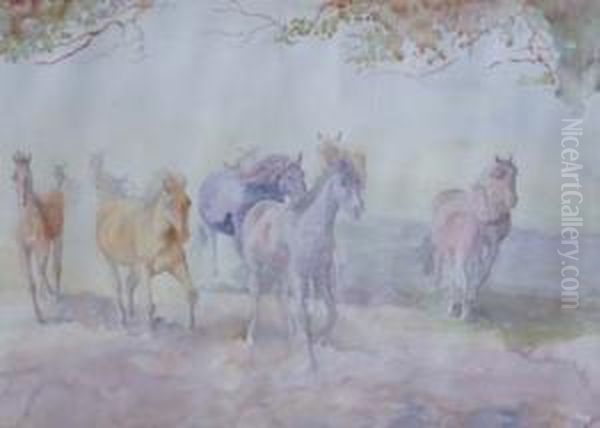 Horse Studies - view 1