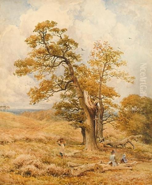 Gathering Sticks - view 1