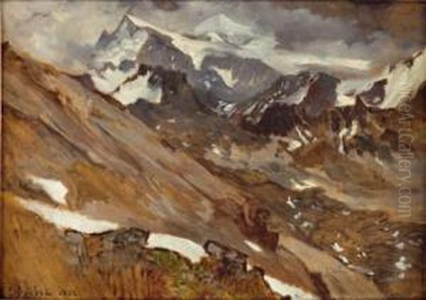 Paysage De Montagne - view 1