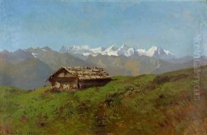 Sommerliche Alp Mit Fernblick.
