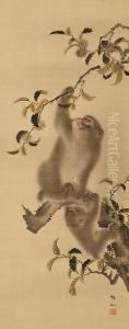 Monkeys In Achestnut Tree by Mori Shusho, Dit Sosen