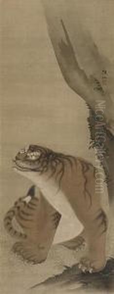 Tiger - view 1