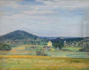 Buckingham Mountain by George William Sotter