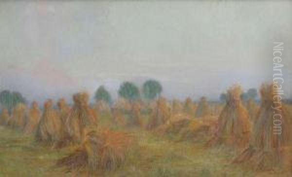 'oogstavond' - view 1