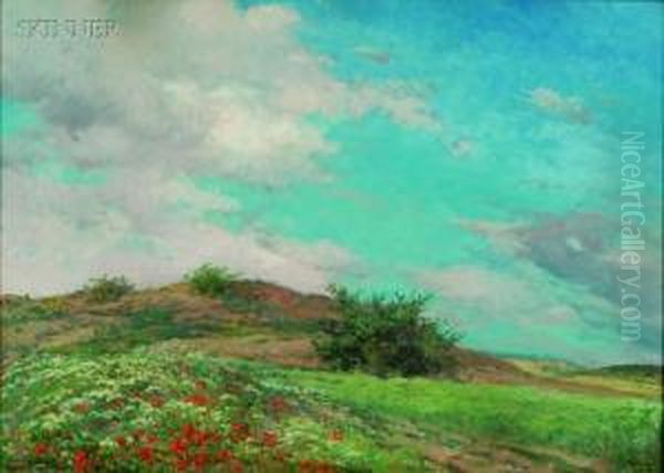 Spring Field - view 1