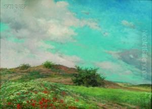 Spring Field by Frantisek Ladislav Soukup