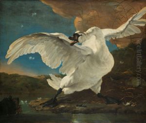 The Threatened Swan before 1652 by Jan Asselyn