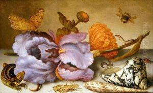 Still life depicting flowers, shells and insects by Balthasar Van Der Ast