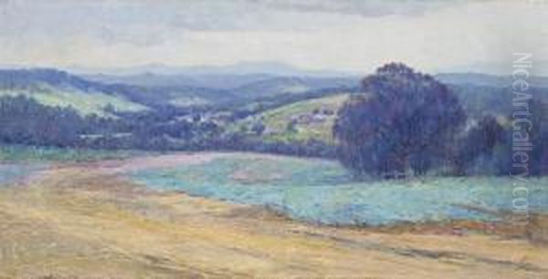 The Road To Warrandyte - view 1