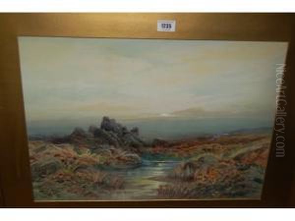 Extensive Moorland Landscape - view 1