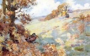 In The Shadow Of The Hedgerow by Frank Southgate