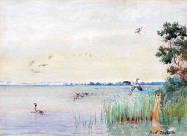 Horsey Mere, Norfolk - view 1