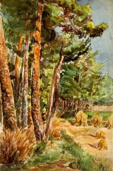 "paisaje" - view 1