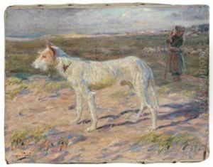 Chien De Berger by Jose Giulio Souza-Pinto