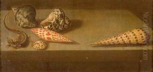 Lizards and shellfish