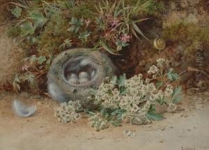 A Bird's Nest With Blossom And A Snail By A Mossy Bank