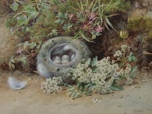 A Still Life Of A Bird's Nest With A Bough Of Hawthorn Beside A Mossy Bank by John Sowden
