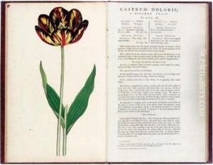 [, . Flora Luxuriens Or The Florist's Delight. London, 1789-1791] by James Sowerby