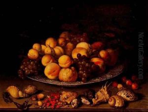 Fruit in a dish and shells by Balthasar Van Der Ast
