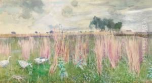 Geese Amongst The Reeds by John G. Sowerby