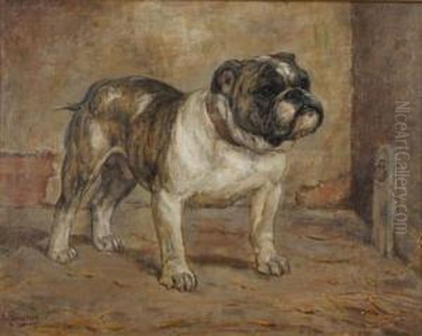 Portrait Of A Bulldog - view 1