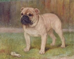 A Bulldog With A Bone by Kate Sowerby