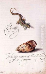 Lizard and Shell by Balthasar Van Der Ast