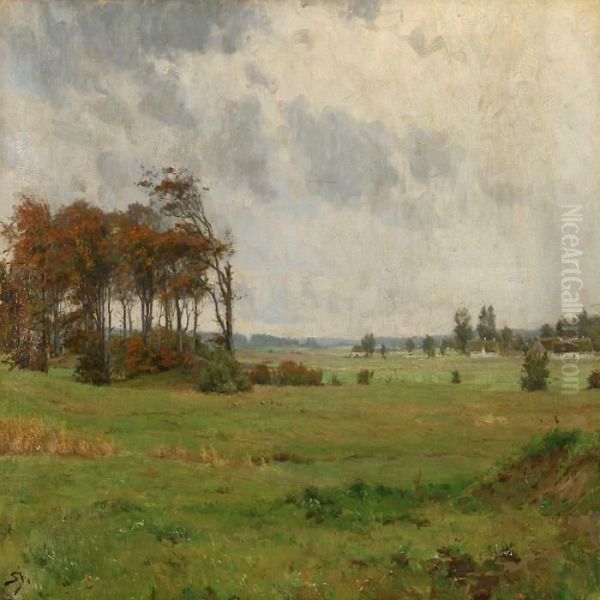 Danish Windy Landscape - view 1