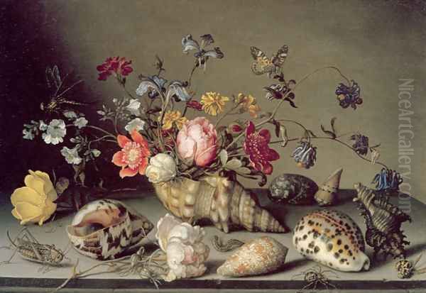 Still Life with Flowers, Shells and Insects - view 1