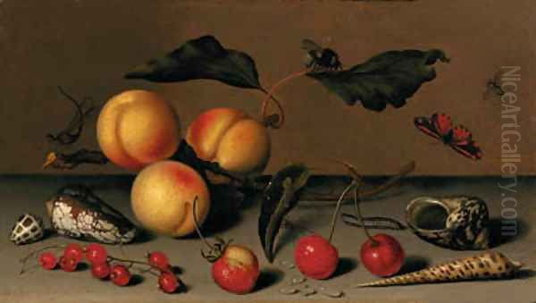 Apricots on a stalk, cherries, a wild strawberry, redcurrants, shells, a butterfly, a bee, a spider, a fly, a caterpillar and a dragonfly on a ledge - view 1