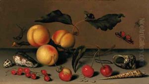 Apricots on a stalk, cherries, a wild strawberry, redcurrants, shells, a butterfly, a bee, a spider, a fly, a caterpillar and a dragonfly on a ledge