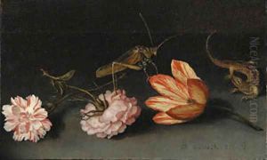 Carnations, a parrot tulip, a grasshopper and a lizard on a ledge by Balthasar Van Der Ast