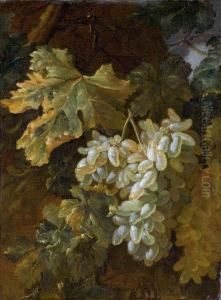 Uva by Bartolomeo Castelli Spadino