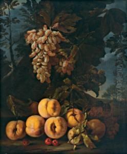 Natura Morta Con Uva E Pesche by Bartolomeo Castelli Spadino