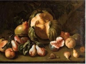 Bodegon De Frutas Y Caracol by Giovanni Paolo Castelli Spadino