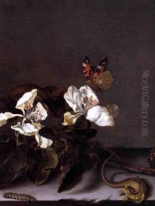 Still-Life with Apple Blossoms (detail) 2 by Balthasar Van Der Ast