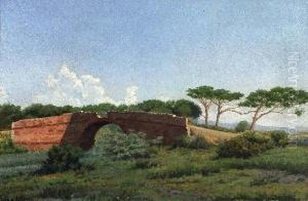 Il Ponte Della Pietrabianca (vada) - view 1